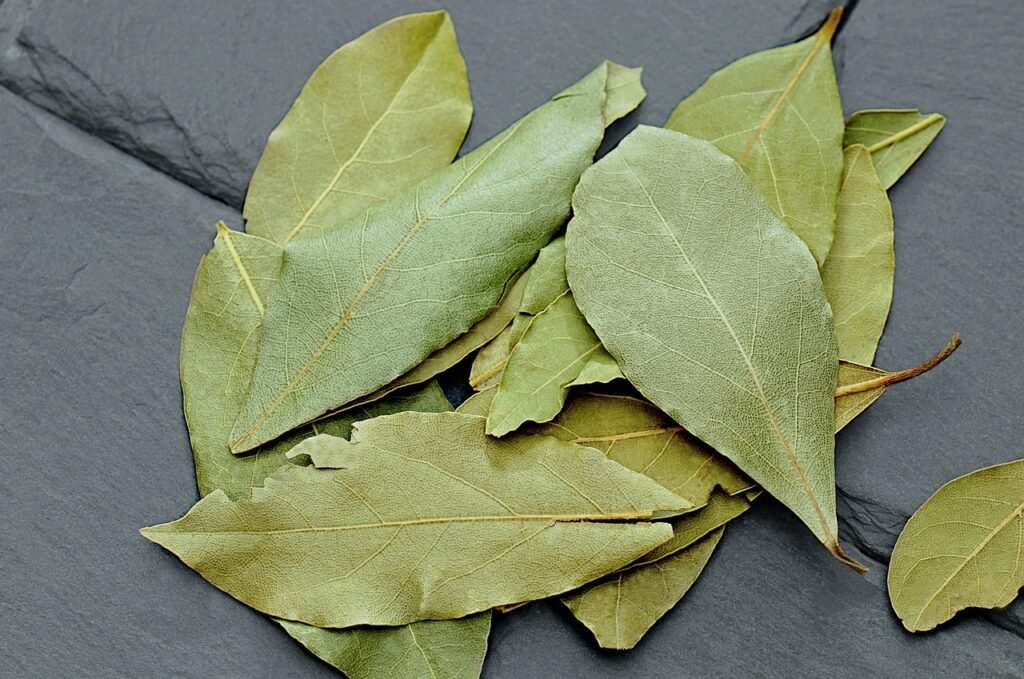 leaves, laurel, plants, herbs, bay leaf, spices, cooking, dish, bay, allspice, food, aromatic hydrocarbons, cook, bay leaf, bay leaf, bay leaf, bay leaf, bay leaf