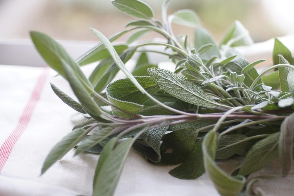 sage, herb, food, spice, seasoning, leaves, plant, branches, cooking, nature, aroma, herbal, aromatic, healthy, sage, sage, sage, sage, sage