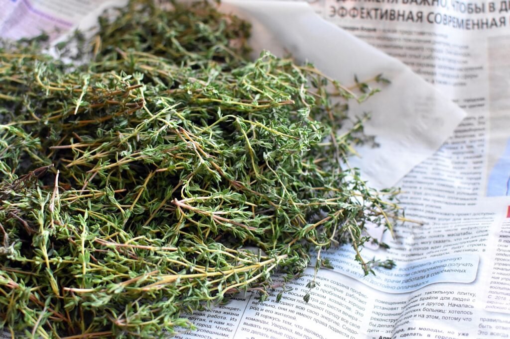 thyme, nature, spice, plant, grass, newspaper, fresh