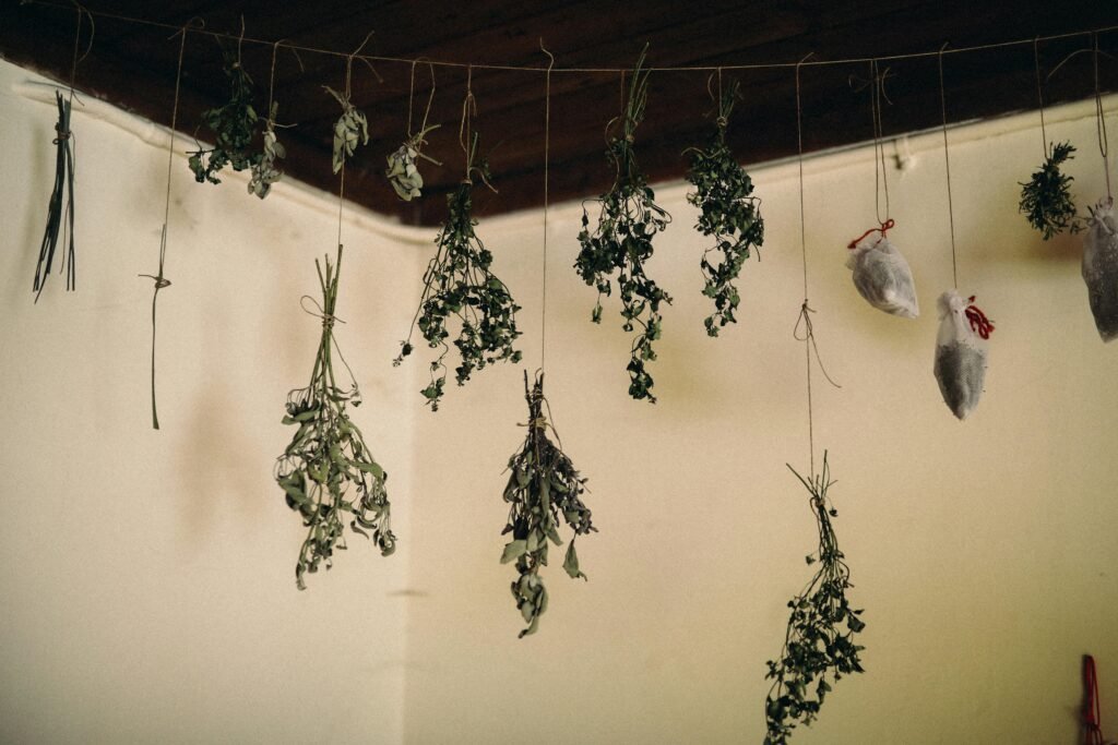 A collection of dried herbs hanging from the ceiling in a rustic indoor setting.