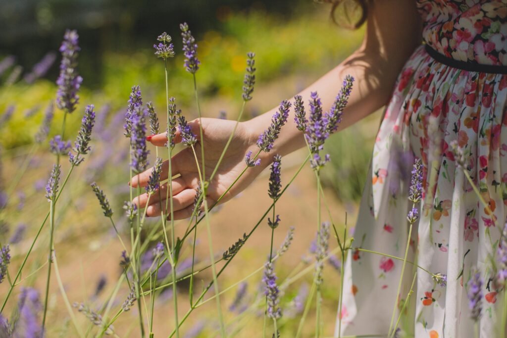 A woman gently touches lavender blossoms in a bright summer garden, capturing a serene outdoor moment.