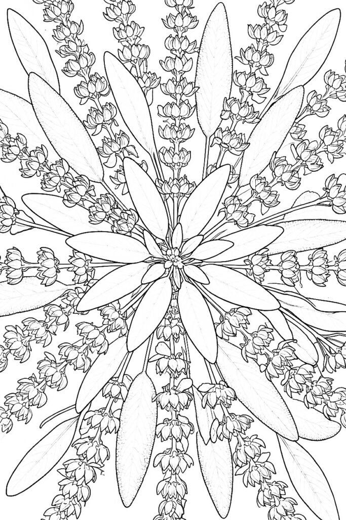 mandala da colorare per adulti da stampare