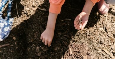 lavoretti per bambini e attività all'aperto